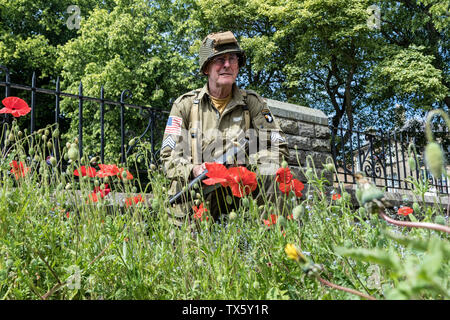 US Airborne Soldat (Re-Enactor) von Mohnblumen, Barnard Castle, 1940 Wochenende, 2019, Teesdale, County Durham, UK Umgeben Stockfoto