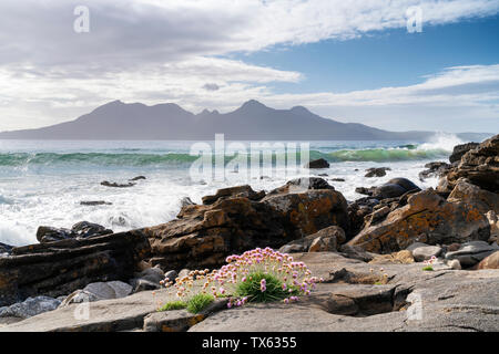 Cleadale laig Bay, und die entfernten Insel Rum der Isle of Eigg, kleinen Inseln, Schottland. Stockfoto