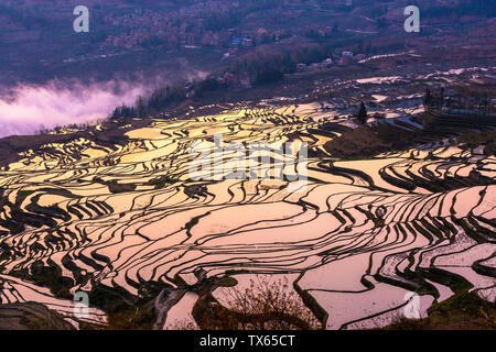 Die Yilao Berg Terrassen in Yuanyang, Yunnan am 13. März 2019 Ist der Moment der Bewässerung und die Felder. Das Meer der Wolken dämpfen auf dem Baum den Sonnenaufgang, den Sonnenuntergang Landschaft des Adlers Mund ist noch charmanter und die Liebe, die Feder und den blauen Terrassen umgeben das Dorf. Diese sind atemberaubend für Touristen. Stockfoto