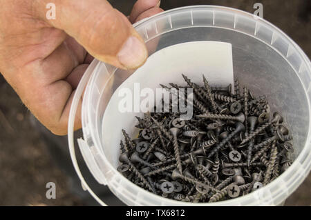 Nahaufnahme eines Menschen Hand Holding ein Kunststoffbehälter mit Metallschrauben auf Holz, ein Tischler Arbeiter bereitet Baumaterialien für seine Arbeit. Stockfoto