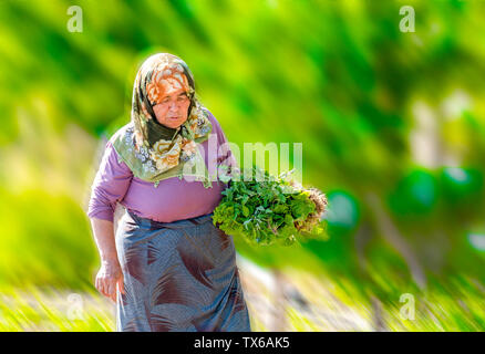 Frau, die gesund und lokal produzierten Gemüse auf ein grünes Feld in der Türkei Stockfoto