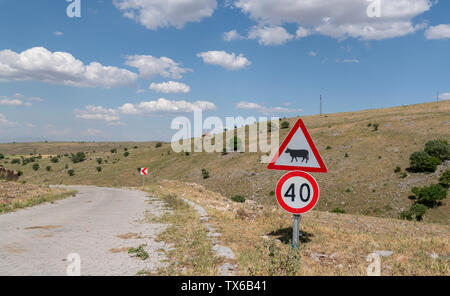 In der Nähe von Vieh crossing Verkehrsschild auf einer Fahrbahn mit felsigen Landschaft und grüne Felder in der zentralen Türkei Stockfoto