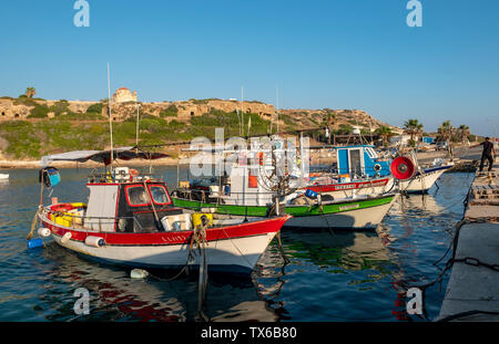 Fischerboote im Hafen von Agios Georgios, Peyia, Zypern günstig. Stockfoto