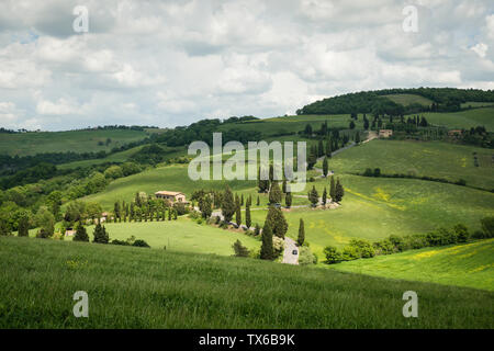 Kurvenreiche Straße zu Monticchiello gesäumt mit Zypressen bäume inTuscany, Italien Stockfoto