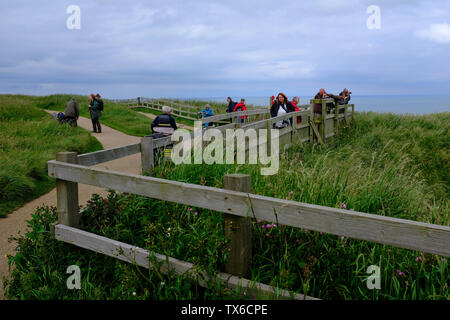 Bempton Cliffs North Yorkshire UK Stockfoto