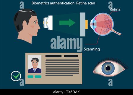 Retina scan Art der biometrischen Authentifizierung - Begriff Vektor illustration Stock Vektor