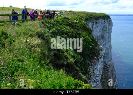 Bempton Cliffs North Yorkshire UK Stockfoto