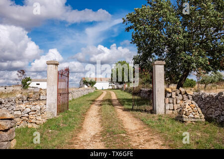 Land zaun Tor des alten, typischen Bauernhof. Region Apulien, Italien Stockfoto