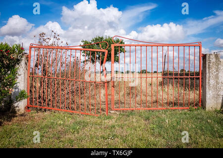 Land zaun Tor. Region Apulien, Italien Stockfoto