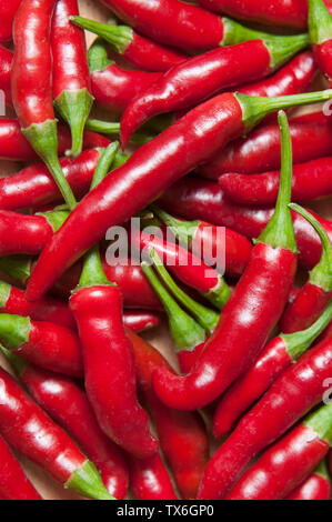 Frische rote Chilis reif Draufsicht, vertikaler Stockfoto