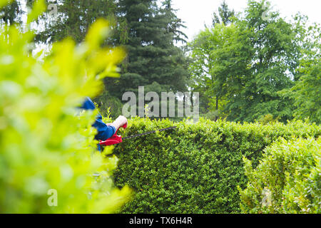 Schneiden Hedge-fonds mit Powertools Stockfoto