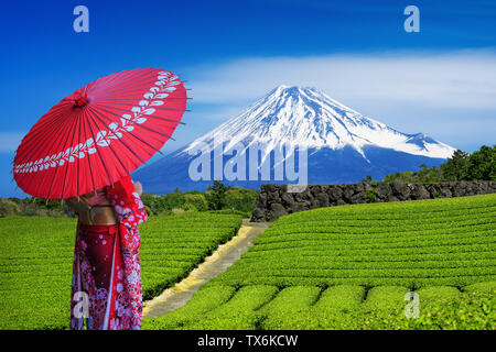 Asiatische Frau mit traditionellen japanischen Kimono auf dem Fuji Berge und grünen Tee Plantage in Shizuoka, Japan. Stockfoto