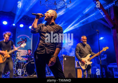 Die deutsche Punk-Rock-Band Adam Angst live beim Orange Blossom Special Festival, Beverungen, Ostwestfalen, Deutschland | der deutschen Punk-Rock-Band Stockfoto