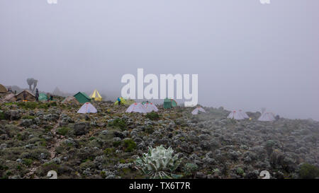 Mount Kilimanjaro/Tansania: 4. Januar 2016: Hochlager auf dem Mount Kilimanjaro mit vielen Menschen Vorbereitung und Einrichtung der Lager Stockfoto