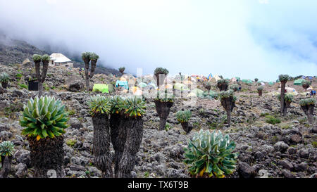 Mount Kilimanjaro/Tansania: 4. Januar 2016: Hochlager auf dem Mount Kilimanjaro mit vielen Menschen Vorbereitung und Einrichtung der Lager Stockfoto