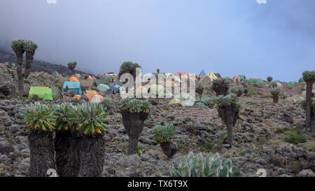 Mount Kilimanjaro/Tansania: 4. Januar 2016: Hochlager auf dem Mount Kilimanjaro mit vielen Menschen Vorbereitung und Einrichtung der Lager Stockfoto