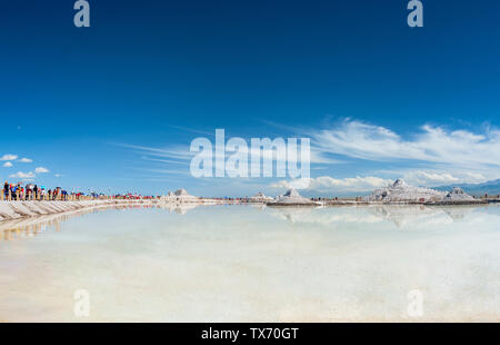 Tee qinghai See Stockfoto