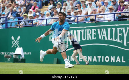 Eastbourne, Großbritannien. 24. Juni 2019 Fernando Verdasco Spanien in Aktion während seinem Match gegen John millman von Australien an Tag drei der Natur Tal Internationalen an der Devonshire Park. Credit: James Boardman/Alamy leben Nachrichten Stockfoto