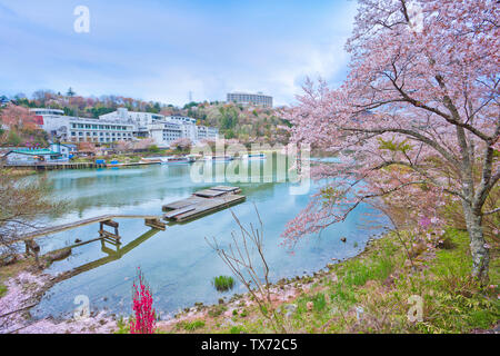 Sakura voller Blüte in Enakyosazanami Park, Präfektur Gifu, Japan Stockfoto