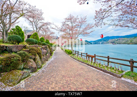 Sakura voller Blüte in Enakyosazanami Park, Präfektur Gifu, Japan Stockfoto