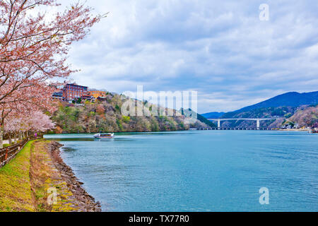 Sakura voller Blüte in Enakyosazanami Park, Präfektur Gifu, Japan Stockfoto