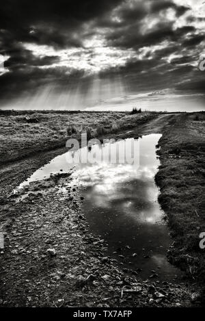 Bodmin Moor nach Sturm, dunklen Himmel Sonne durch auf Granit Steine und Pfützen auf Bodmin Moor brechen, Stockfoto