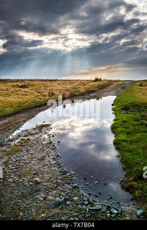 Bodmin Moor nach Sturm, dunklen Himmel Sonne durch auf Granit Steine und Pfützen auf Bodmin Moor brechen, Stockfoto