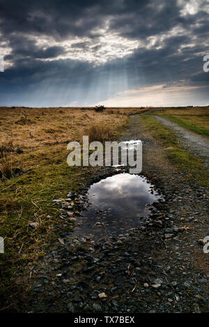 Bodmin Moor nach Sturm, dunklen Himmel Sonne durch auf Granit Steine und Pfützen auf Bodmin Moor brechen, Stockfoto