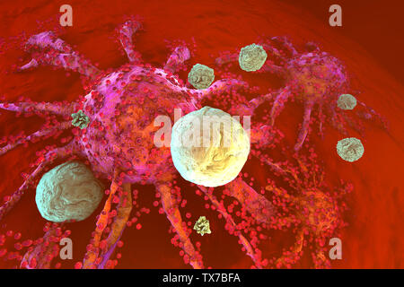 3D-Darstellung der T-Zellen des Immunsystems angreifen wachsenden Krebszellen. Stockfoto