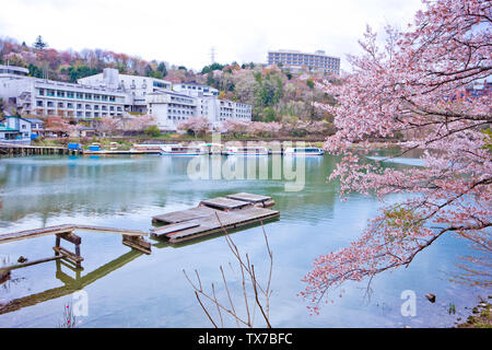 Sakura voller Blüte in Enakyosazanami Park, Präfektur Gifu, Japan Stockfoto