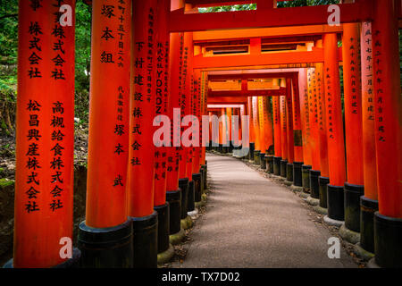 Kyoto, Japan - 21. November 2018: Gehweg durch rotes Tor mit japanischen Sprache in Fushimi Inari Schrein abgedeckt. Stockfoto