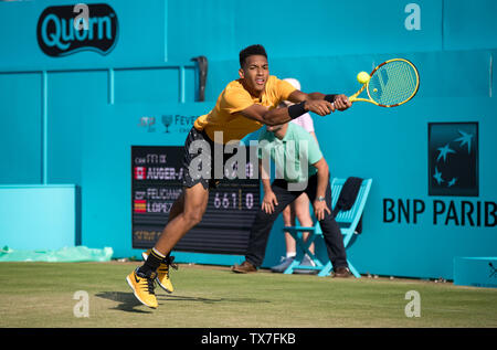 Felix SCHNECKE ALIASSIME von Kanada während der Fever-Tree Tennis-WM Halbfinale 2019 im Queen's Club, London, England am 22. Juni 2019. Phot Stockfoto