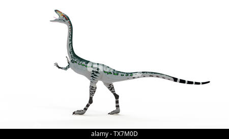 3D-Darstellung eines Coelophysis Stockfoto