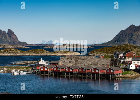 Leknes, Lofoten, Norwegen im Frühjahr mit Rorbuer und cod-Racks Stockfoto