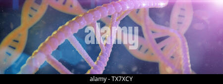 DNA-Struktur, Molekül, das Konzept, der Doppelhelix, die genetischen Anweisungen (3d Wissenschaft Abbildung Banner) Stockfoto
