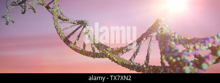 DNA-Struktur, Molekül, das Konzept, der Doppelhelix, die genetischen Anweisungen (3d Wissenschaft rendering Banner) Stockfoto