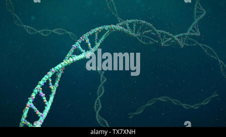 DNA-Struktur, Molekül, das Konzept, der Doppelhelix, die genetischen Anweisungen (3d Wissenschaft rendering) Stockfoto