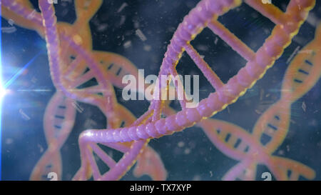 DNA-Struktur, Molekül, das Konzept, der Doppelhelix, die genetischen Anweisungen (3d Wissenschaft Abbildung) Stockfoto