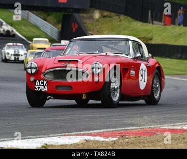 Markieren Holme, Austin Healey 3000 MkII, Equipe GTS, Meister Historisches Festival, Brands Hatch, Mai 2019. Brands Hatch, Oldtimer, Klassiker, Klassisch Stockfoto