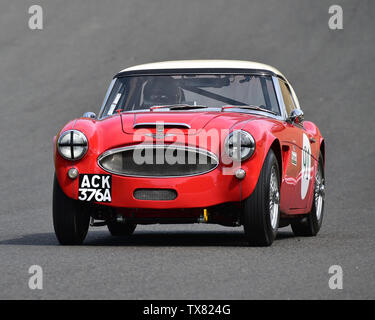 Markieren Holme, Austin Healey 3000 MkII, Equipe GTS, Meister Historisches Festival, Brands Hatch, Mai 2019. Brands Hatch, Oldtimer, Klassiker, Klassisch Stockfoto