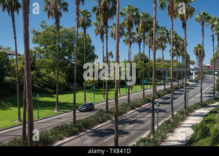 Typische Palmen gesäumten Highway, Anaheim, Los Angeles, Kalifornien, USA Stockfoto