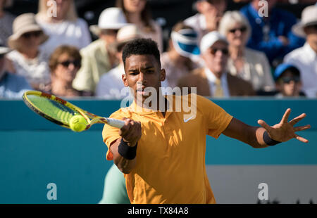Felix SCHNECKE ALIASSIME von Kanada während der Fever-Tree Tennis-WM Halbfinale 2019 im Queen's Club, London, England am 22. Juni 2019. Phot Stockfoto