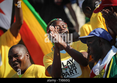 Kairo, Ägypten. 24. Juni, 2019. Elfenbeinküste Anhänger jubeln in der steht während der 2019 Afrika Cup Gruppe D Fußballspiel zwischen Südafrika und der Elfenbeinküste an al-salam Stadion. Credit: Omar Zoheiry/dpa/Alamy leben Nachrichten Stockfoto