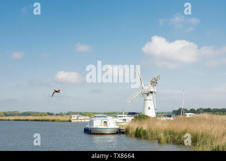 Thurne Deich Entwässerung Mühle. Die Norfolk Broads, auf dem Fluss Thurne, mit Boote auf dem Fluss und Stockente Ente fliegen, UK, Mai Stockfoto