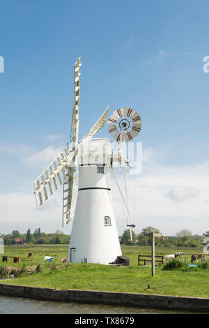 Thurne Deich Entwässerung Mühle. Die Norfolk Broads, auf dem Fluss Thurne, UK, Mai Stockfoto