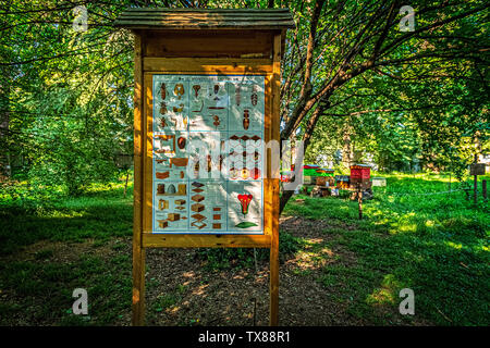 Italien Piemont Turin Valentino botanischer Garten - Tree Grove - Bienenstöcke-Zeichen über die Welt der Bienen Stockfoto