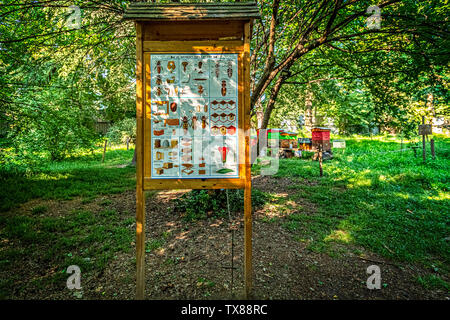 Italien Piemont Turin Valentino botanischer Garten - Tree Grove - Bienenstöcke-Zeichen über die Welt der Bienen Stockfoto