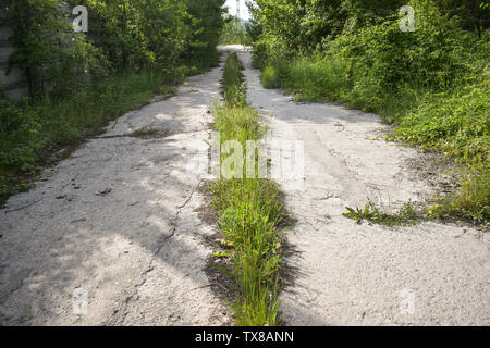 Abgebrochene Asphalt Risse Straße mit bewachsenen Pflanzen und Gras in der Mitte von Nirgendwo in einigen ghost City. Das Konzept der Verzicht oder Verlust von dir Stockfoto