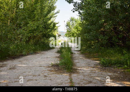 Abgebrochene Asphalt Risse Straße mit bewachsenen Pflanzen und Gras in der Mitte von Nirgendwo in einigen ghost City. Das Konzept der Verzicht oder Verlust von dir Stockfoto