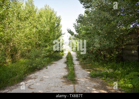 Abgebrochene Asphalt Risse Straße mit bewachsenen Pflanzen und Gras in der Mitte von Nirgendwo in einigen ghost City. Das Konzept der Verzicht oder Verlust von dir Stockfoto